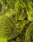 Premium Partridge Feathers from Hareline Dubbin, Inc for fly tying at Freestone Fly Shop Montana fly fishing outfitter