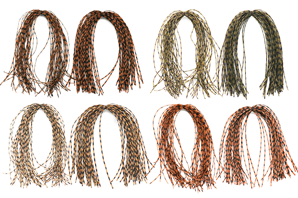 Collection Image