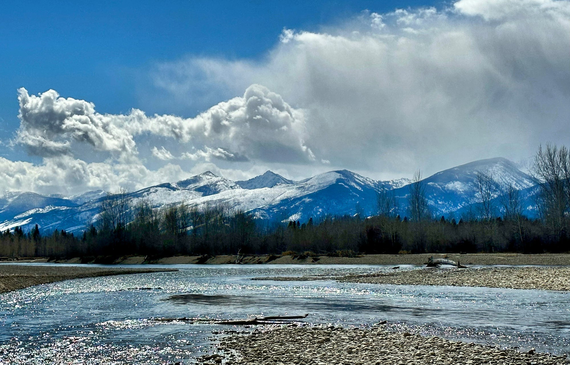 Montana river flowing over rocky shore with leafless trees and snow-capped mountains under cloudy sky
