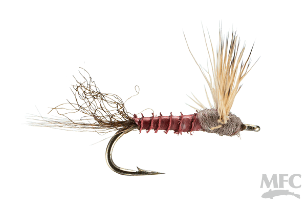 MFC Sparkle Dun - Mahogany by Montana Fly Company, detailed mayfly pattern for fly fishing at Freestone Fly Shop