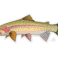 Casey Underwood Fish Sticker