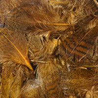 Premium Partridge Feathers